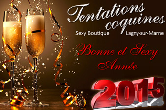 Visuel flyer Bonne Année 2015