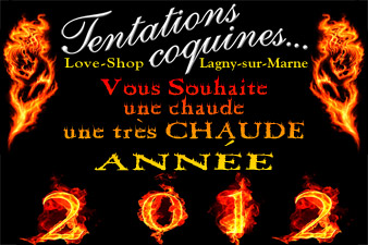 Visuel flyer Bonne et chaude Année 2012